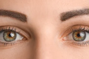 Perfect Hazel Eyes Symmetry